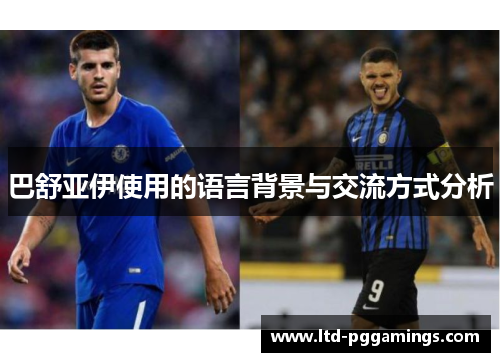 巴舒亚伊使用的语言背景与交流方式分析 巴舒亚伊使用的语言背景与交流方式分析
